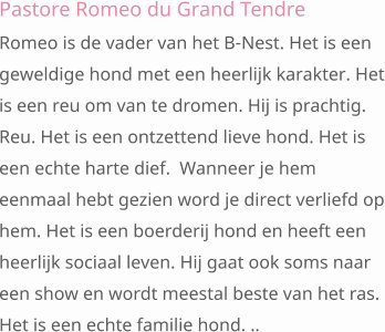 Pastore Romeo du Grand Tendre Romeo is de vader van het B-Nest. Het is een geweldige hond met een heerlijk karakter. Het is een reu om van te dromen. Hij is prachtig.  Reu. Het is een ontzettend lieve hond. Het is een echte harte dief.  Wanneer je hem eenmaal hebt gezien word je direct verliefd op hem. Het is een boerderij hond en heeft een heerlijk sociaal leven. Hij gaat ook soms naar een show en wordt meestal beste van het ras.  Het is een echte familie hond. ..