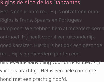 Riglos de Alba de los Danzantes Het is een droom reu. Hij is ontzettend mooi. Riglos is Frans, Spaans en Portugees kampioen. We hebben hem al meerdere keren ontmoet. Hij heeft vooral een uitzonderlijk goed karakter. Hierbij is het ook een gezonde reu . Hij is op meerdere punten een uitstekende aanvulling voor onze Amber. Zijn vacht is prachtig . Het is een hele complete hond met een prachtig hoofd.