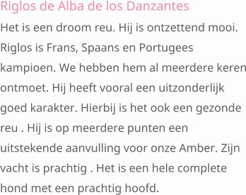 Riglos de Alba de los Danzantes Het is een droom reu. Hij is ontzettend mooi. Riglos is Frans, Spaans en Portugees kampioen. We hebben hem al meerdere keren ontmoet. Hij heeft vooral een uitzonderlijk goed karakter. Hierbij is het ook een gezonde reu . Hij is op meerdere punten een uitstekende aanvulling voor onze Amber. Zijn vacht is prachtig . Het is een hele complete hond met een prachtig hoofd.