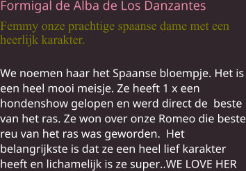 Formigal de Alba de Los Danzantes Femmy onze prachtige spaanse dame met een heerlijk karakter. We noemen haar het Spaanse bloempje. Het is een heel mooi meisje. Ze heeft 1 x een hondenshow gelopen en werd direct de  beste van het ras. Ze won over onze Romeo die beste reu van het ras was geworden.  Het belangrijkste is dat ze een heel lief karakter heeft en lichamelijk is ze super..WE LOVE HER