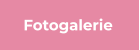 Fotogalerie