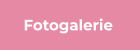 Fotogalerie